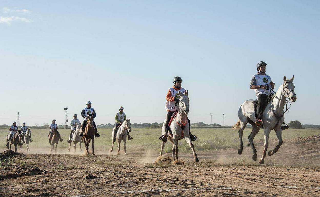 Equestrian Raid City of Badajoz